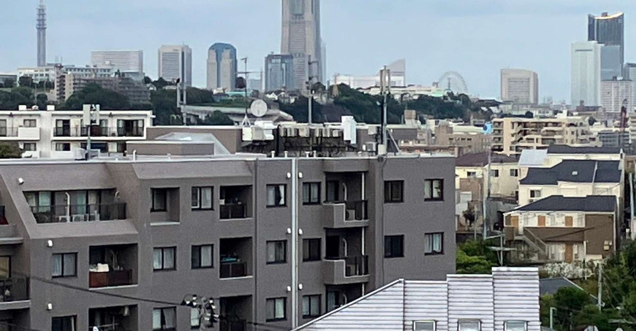 Excursión de un día completo a Yokohama - Hizvo