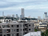 Tour di una giornata intera a Yokohama - Hizvo