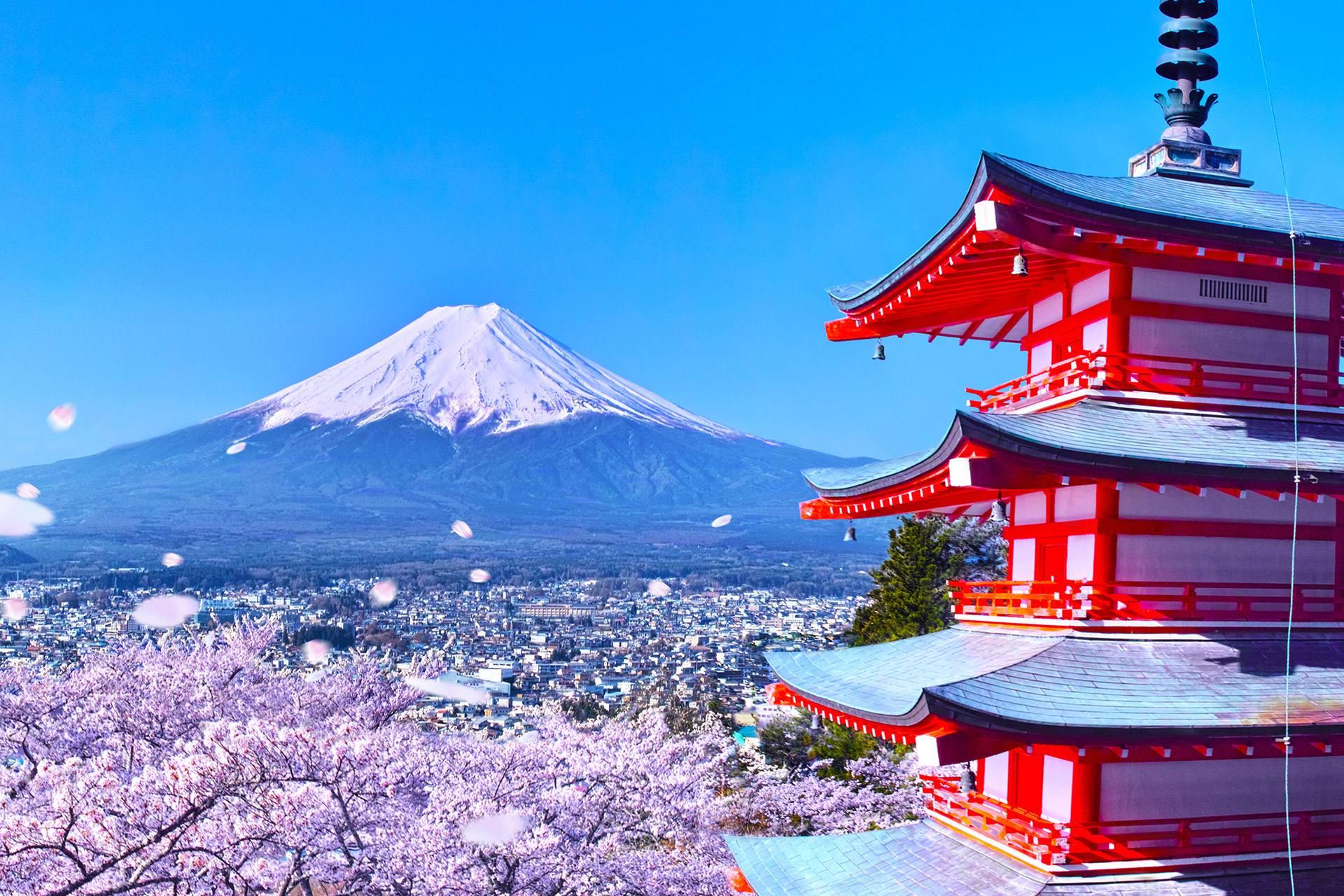Tour zum Fuji und nach Hakone: Arakurayama, Oshino Hakkai, Owakudani