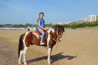 Manavgat / ville de côté, éteinte à cheval près de la plage ou de la forêt - Housity