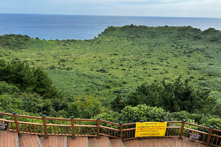 One-day tours of Jeju for cruise guests with certified guide