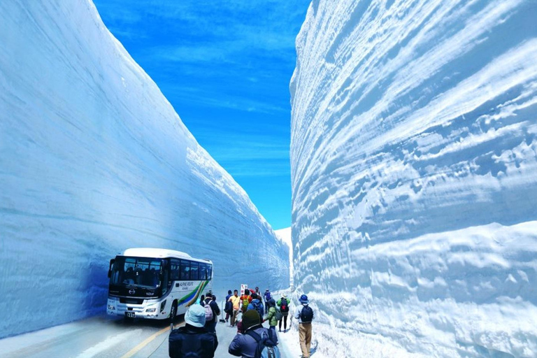 Osaka: 2-dagars tur till Hida Takayama, Shirakawa-go och Tateyama2-3 personer per rum
