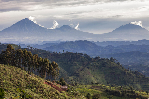 Excursión al Monte Bisoke en el Parque Nacional de los Volcanes