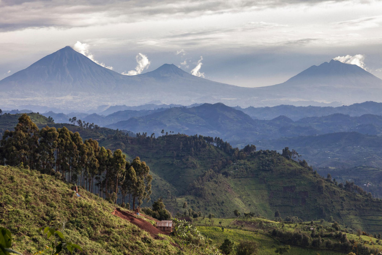 Excursión al Monte Bisoke en el Parque Nacional de los Volcanes