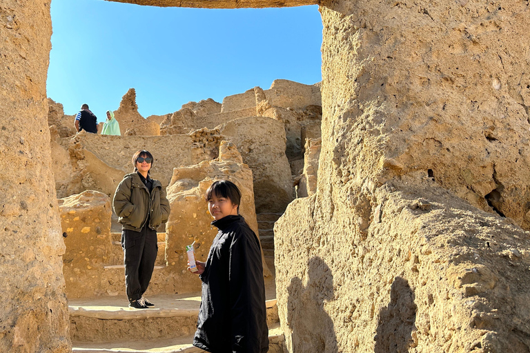 Desde El Cairo: Baño en el Lago Salado y de Azufre, Safari, Excursión al Oasis de SiwaTour en grupo reducido desde El Cairo