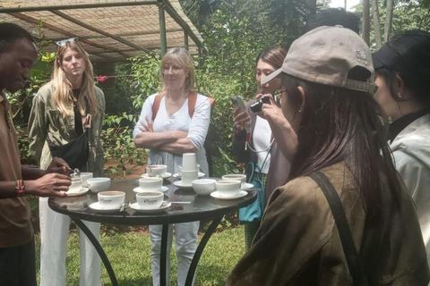Nairobi: Tour della fabbrica e della fattoria del caffè con trasferimento