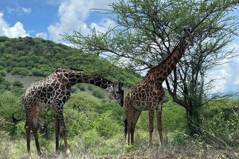 Mombasa: 5-Day Safari- Amboseli, SaltLick, Ziwani & Ngutuni