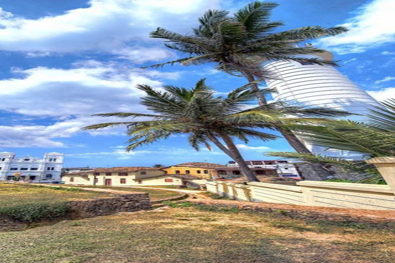 Colombo: Fuerte de Galle, Río Madu y Tortugas Tour privado de un día