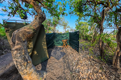 Moremi Game Reserve Mobile Safari