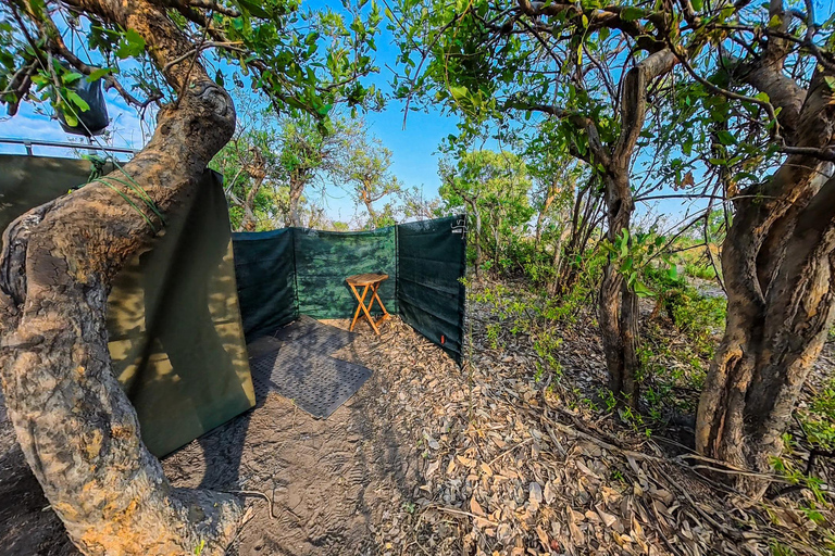 Moremi Game Reserve Mobile Safari