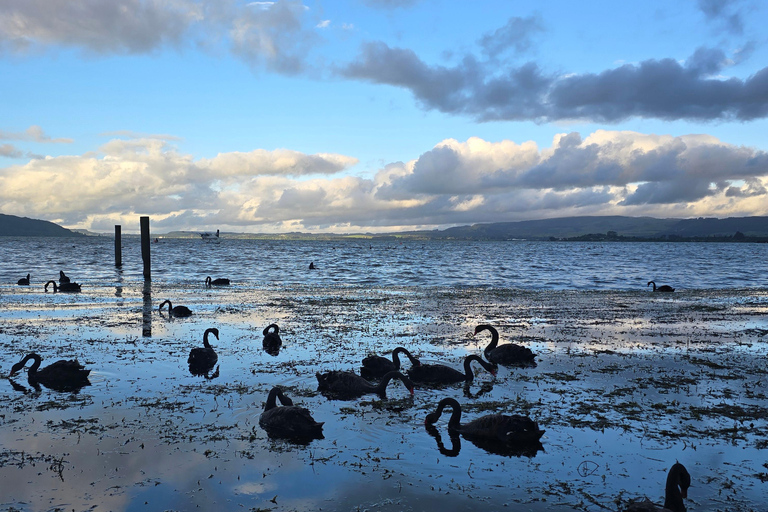 Auckland: Māori Village & Wai-o-Tapu & Blue Springs