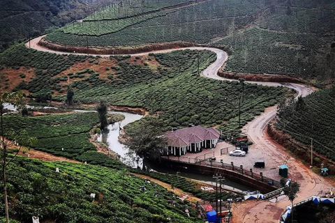 Klein Munnar: Vagamon Serene Teegärten, Wiesen und Wälder