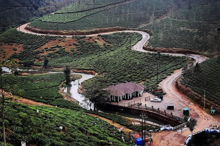 Klein Munnar: Vagamon Serene Teegärten, Wiesen und Wälder