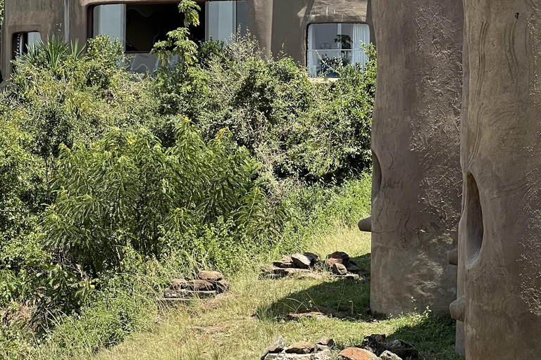 Viaggio di un giorno da Nairobi a Maasai Mara - AWNairobi: Escursione di un giorno nella Riserva Nazionale di Maasai Mara - Privato