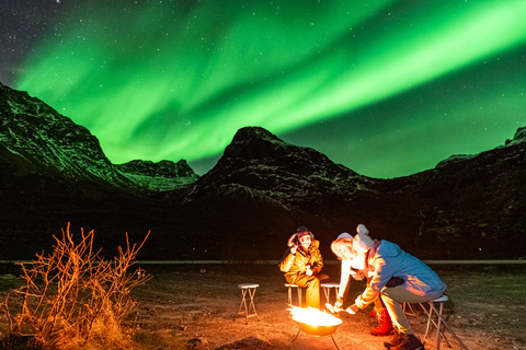 Tromsø: Northern Lights Tour (Max 8) Pickup + Finland
