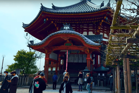 Depuis Osaka/Kyoto : Visite touristique de Kyoto et Nara en journée privée