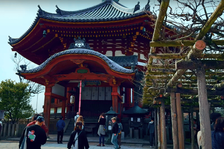 Depuis Osaka/Kyoto : Visite touristique de Kyoto et Nara en journée privée