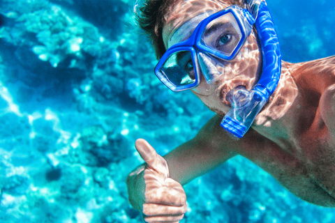 Sharm El Sheikh Combo Safari & Ras Mohammed Adventure