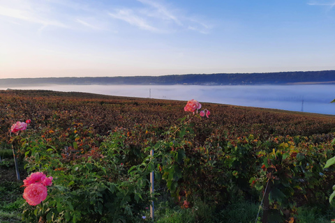 قلب الوادي: تجربة كبار الشخصيات: مغامرة شخصية!قلب الوادي: تجربة كبار الشخصيات: مغامرة مخصصة!