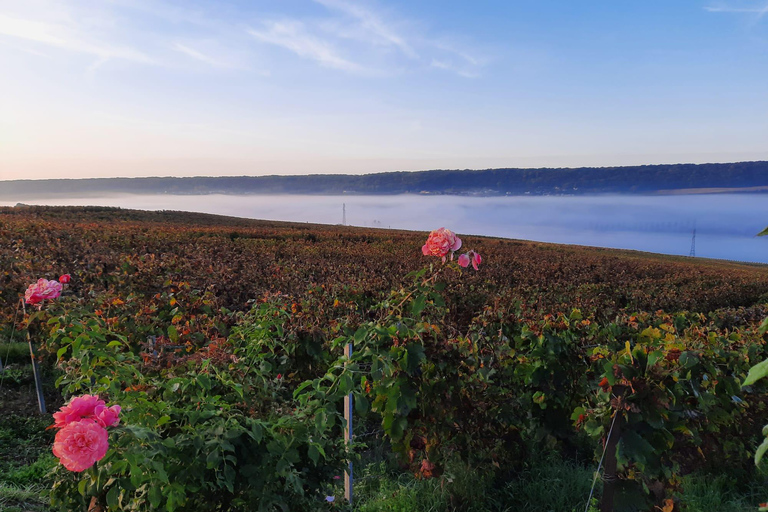 قلب الوادي: تجربة كبار الشخصيات: مغامرة شخصية!قلب الوادي: تجربة كبار الشخصيات: مغامرة مخصصة!