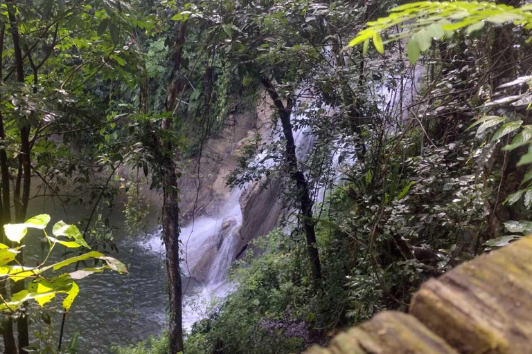 Porto Rico : Randonnée sur la rivière Gozalandia et visite des chutes d&#039;eau