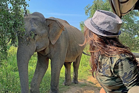 Da Ella: Safari nello Yala con partenza da Tangalle / Mirissa / Galle