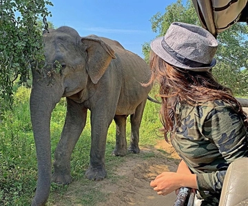 Vanuit Ella: Yala Safari met Tangalle/Mirissa/Galle Drop-off