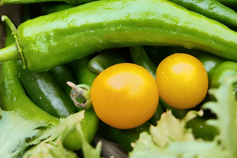 From Garden to Table: Guilin Farm & Family Meal Experience Guide for Chinese or English