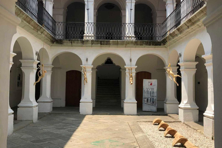 Tour a piedi di Oaxaca con uno storico: culture preispaniche e patrimonioGuida locale in inglese