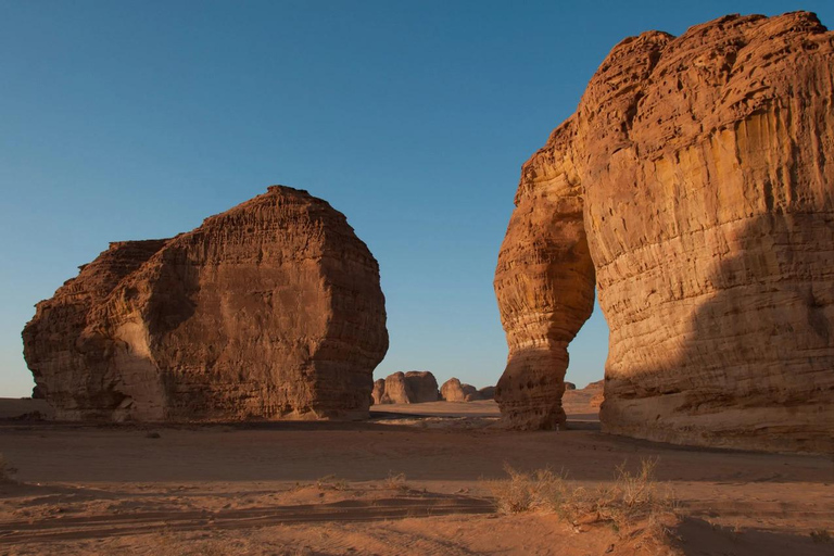 AlUla: Madain Saleh, Elephant Rock, and Jabal Ikmah Tour