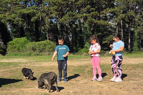 Kotor: visit fort Gorazda and Goran's Farm with ATV quad