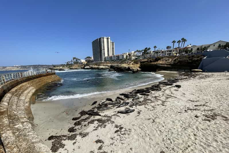 Private Segway Experience Through La Jolla 2023 - San Diego