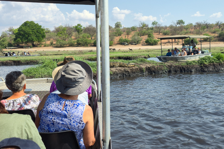 Victoria Falls: 7-Day Chobe & Hwange Safari Tour