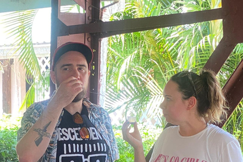 Marigot Bay: Rumverkostung und Viewpoint Tour in St. Lucia