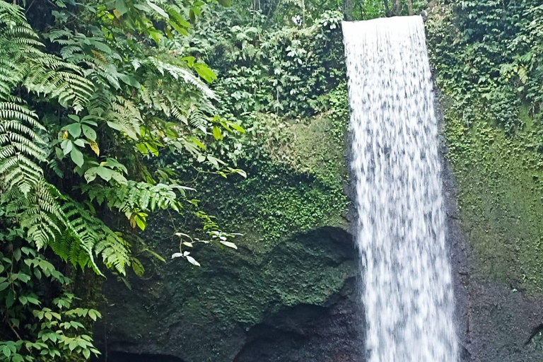 ubud trip monkey forest sanctuary