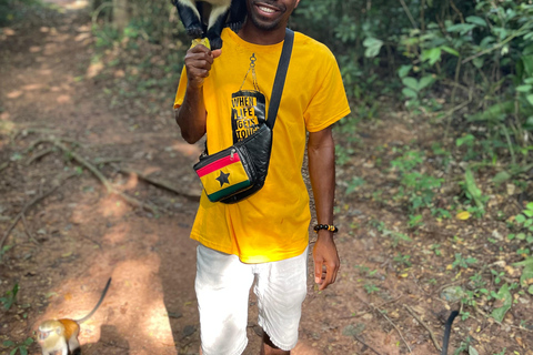 Ghana: 2-Day Monkey Sanctuary, Waterfall and Hiking Tour