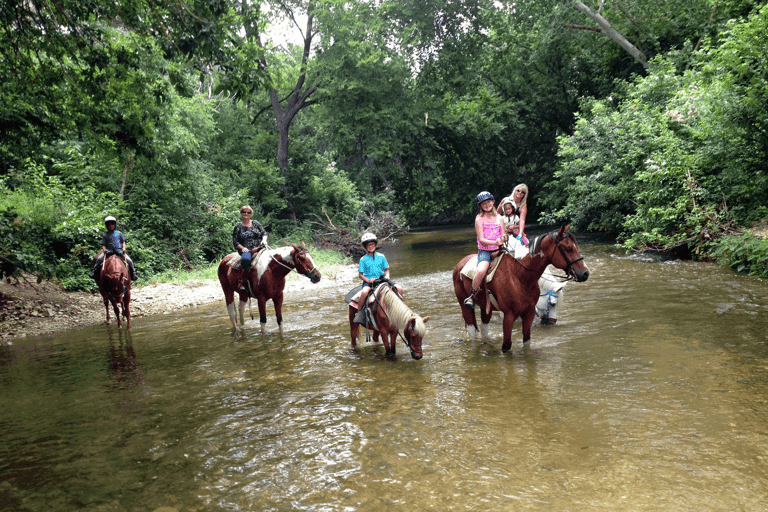 Fethiye: Forest or Sea Horse Riding Experience Fethiye: Horse Riding with Sea Experience