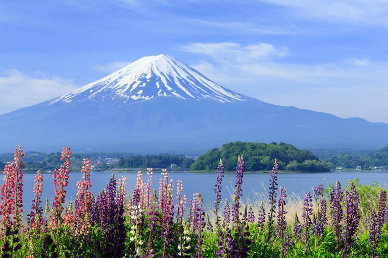 Tokyo: Mt Fuji&Chureito Pagoda&Lake Kawaguchi&Oshino Hakkai Free Karaage Chicken Set | 8AM Tokyo Station Departure