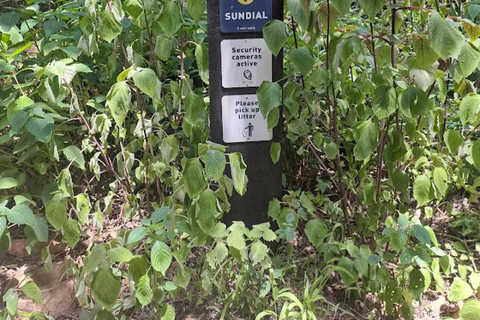 Joanesburgo: Caminhada na Reserva Natural The WildsJoanesburgo: Caminhada pela Reserva Natural The Wilds