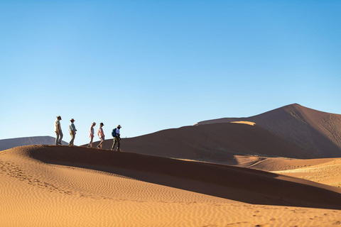 From Windhoek: 3-Day Sandwich Harbour & Pink Lake Tour