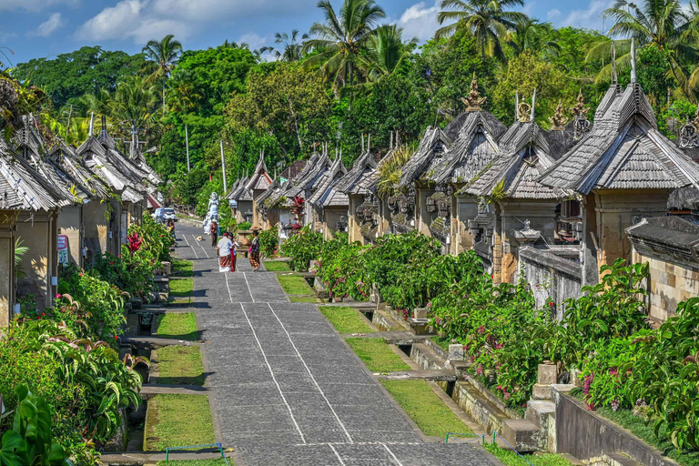 Bali: Macingan Rice Terraces, Village &amp; Waterfall Tour