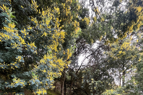 BOGOTA: Tour naar Laguna de Guatavita, het dorp en Casa Loca