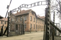 De Krakow, Tour guiada de Auschwitz-Birkenau con transferencia - Housity