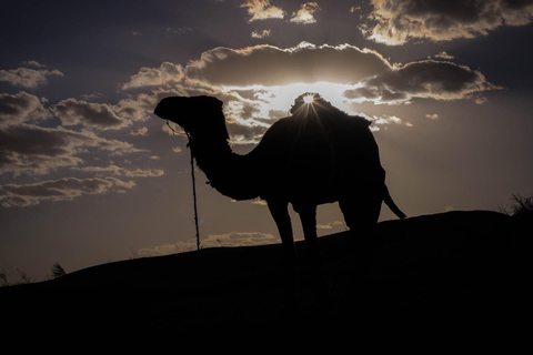 Desde Túnez Sousse y Hammamet: Excursión de 2 días por el desierto y noche en tienda de campaña