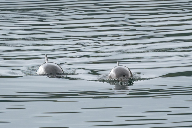 Explore the Norwegian Fjords and the Wildlife from Abisko.