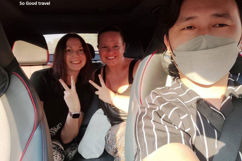 Chiangrai : Half Day Tour 3 Famous Temples / (Private tour)