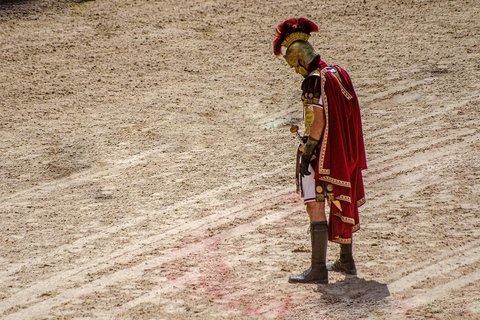 Roma: Colosseo, Foro Romano e Ingresso al PalatinoRoma: Colosseo, Foro Romano e Palatino Biglietto di ingresso prioritario