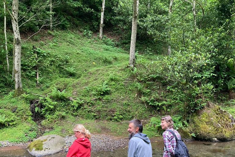 Batumi: Sweet Excursion and Mtirala Forest