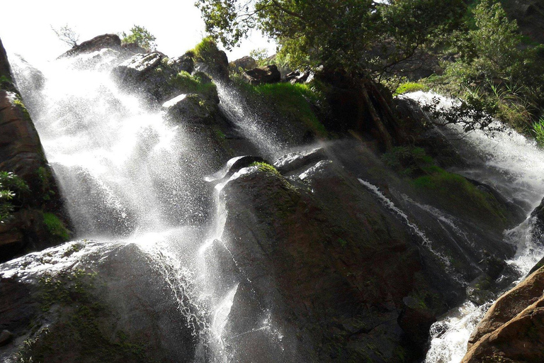 Lushoto: Soni Falls and Usambara Mountains Day Trip