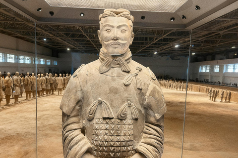 Xi'an: Terracotta Army Entry Ticket